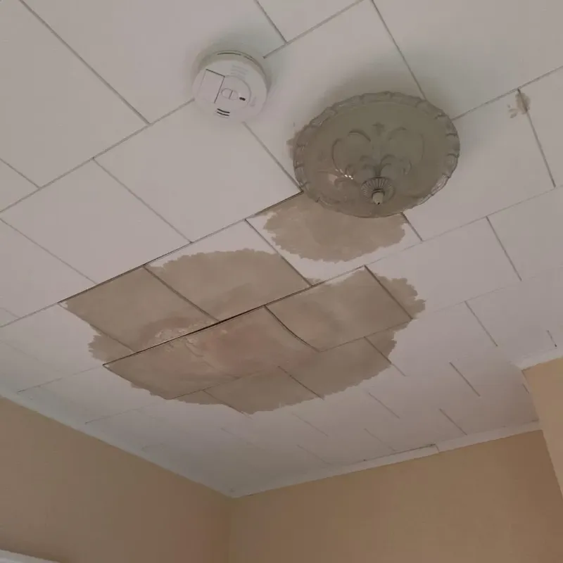 Ceiling Water Damage Repair in McCullom Lake, IL