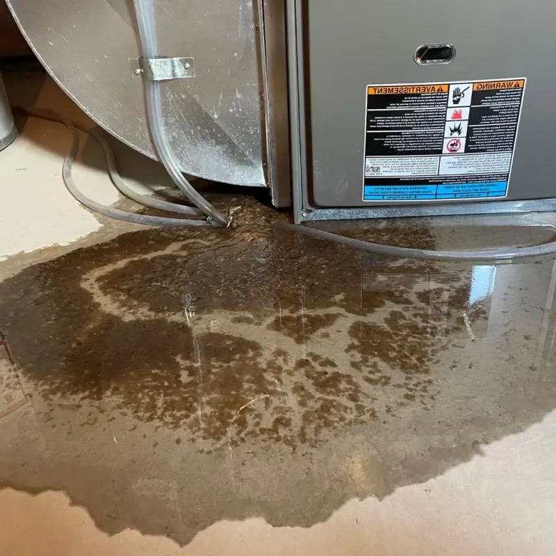 Pipe Burst and Leak Restoration in McCullom Lake, IL