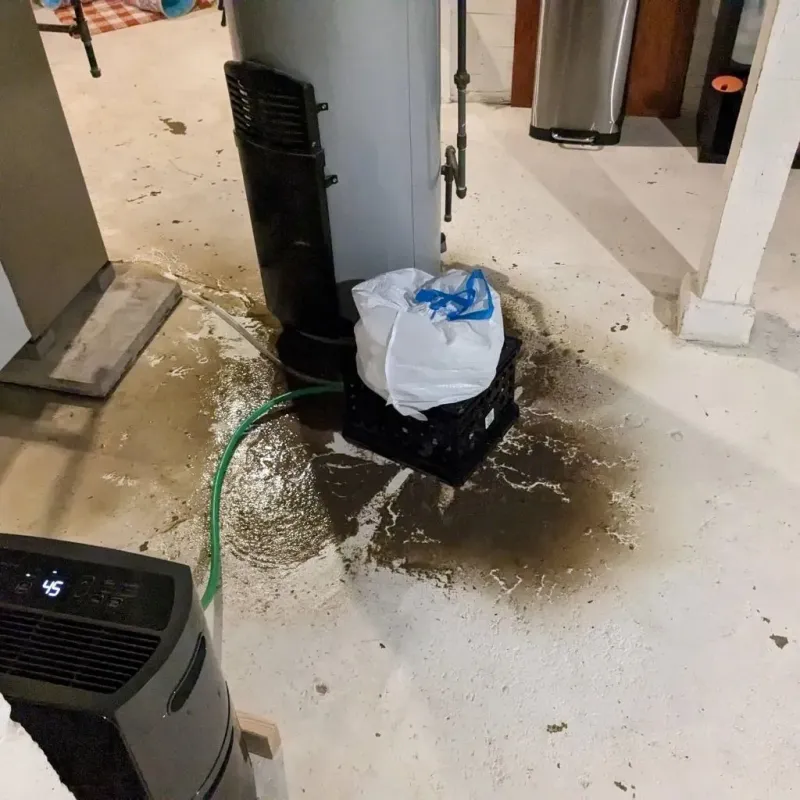 Sewage Backup Cleanup Service in McCullom Lake, IL